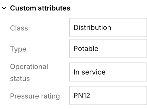 The Custom attributes section of a pipe’s Asset tab